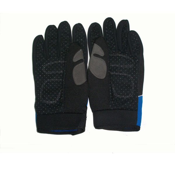 gloves