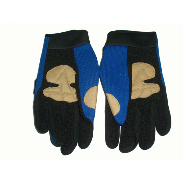 gloves